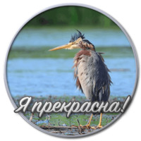 Сибирский Валенок