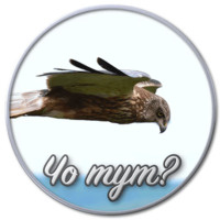 Сибирский Валенок