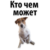 Подпишись, пожалуйста
