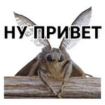 Тутовый шелкопряд
