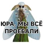 Тутовый шелкопряд