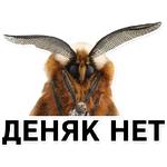 Тутовый шелкопряд