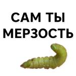 Тутовый шелкопряд