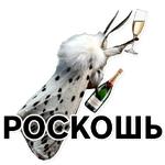 Тутовый шелкопряд
