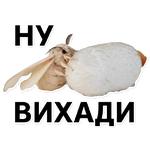 Тутовый шелкопряд