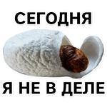 Тутовый шелкопряд