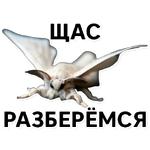 Тутовый шелкопряд