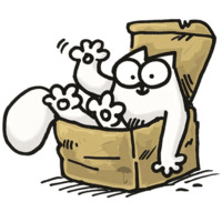 Кот Саймона