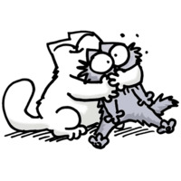 Кот Саймона