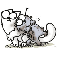 Кот Саймона