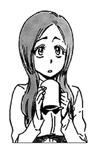 Bleach Manga