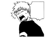 Bleach Manga