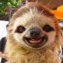 СЫНА ШО ЗА ХУЙНЯ