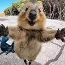 СЫНА ШО ЗА ХУЙНЯ