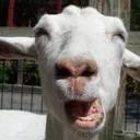 СЫНА ШО ЗА ХУЙНЯ