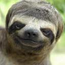 СЫНА ШО ЗА ХУЙНЯ