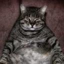 СЫНА ШО ЗА ХУЙНЯ