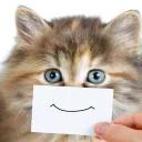 СЫНА ШО ЗА ХУЙНЯ