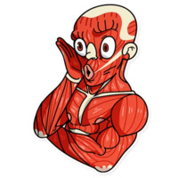 Давид без кожи