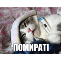 Набор стикеров Коты-Украинцы
