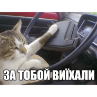 Коты-Украинцы