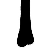 slidanpng