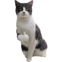 slidanpng