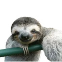 Sloth