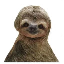 Sloth