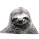 Sloth