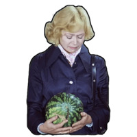 Служебный Роман