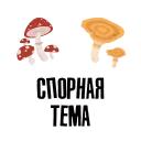 SMM Cluster - сообщество СММ специалистов