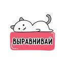 SMM Cluster - сообщество СММ специалистов