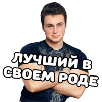 Николай Соболев