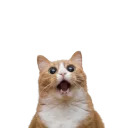 somecats