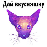 Космические Коты