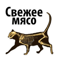 Космические Коты