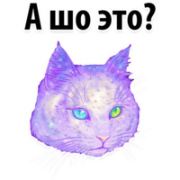 Космические Коты