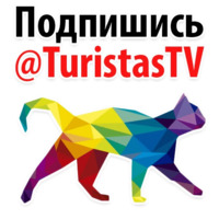 Космические Коты