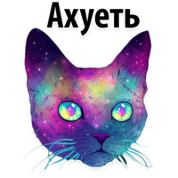 Космические Коты