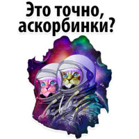 Космические Коты