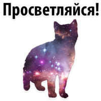 Космические Коты
