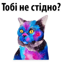 Космические Коты