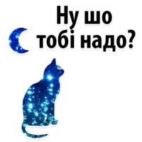 Космические Коты