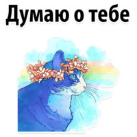 Космические Коты