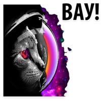 Космические Коты