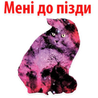 Космические Коты