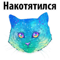 Космические Коты