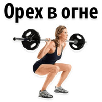 ⚽ Спорт и тренажерка