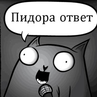 Кот стендапер